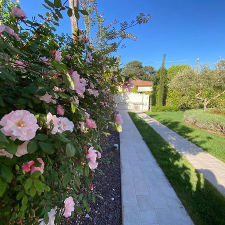Bellaisa Bed & Breakfast Camaiore Exteriör bild