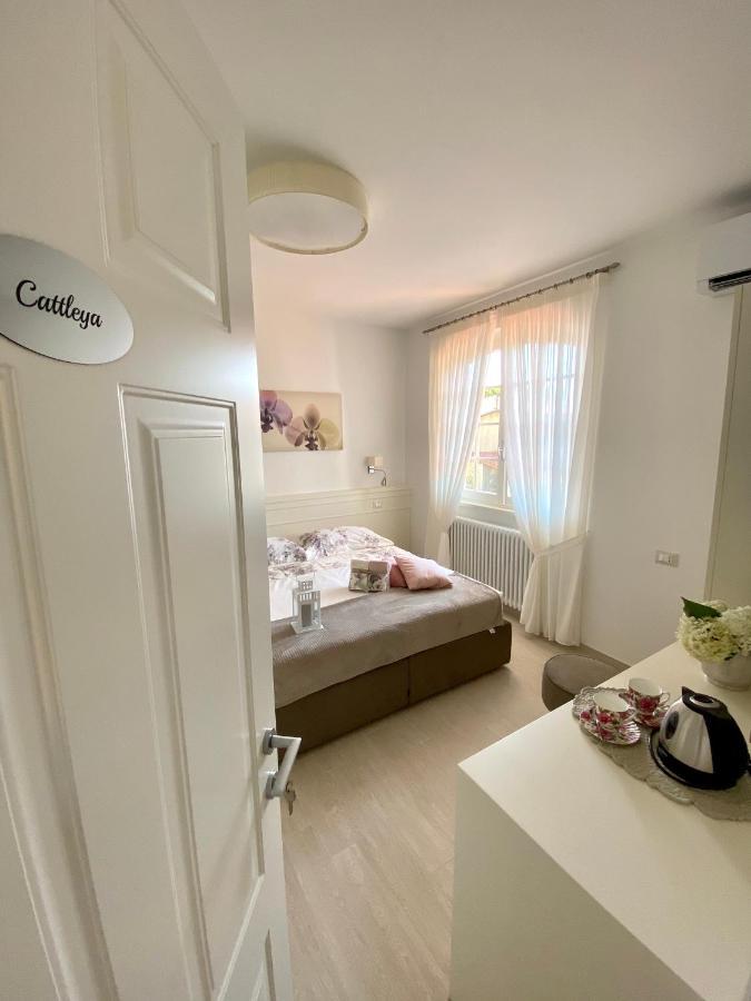 Bellaisa Bed & Breakfast Camaiore Exteriör bild