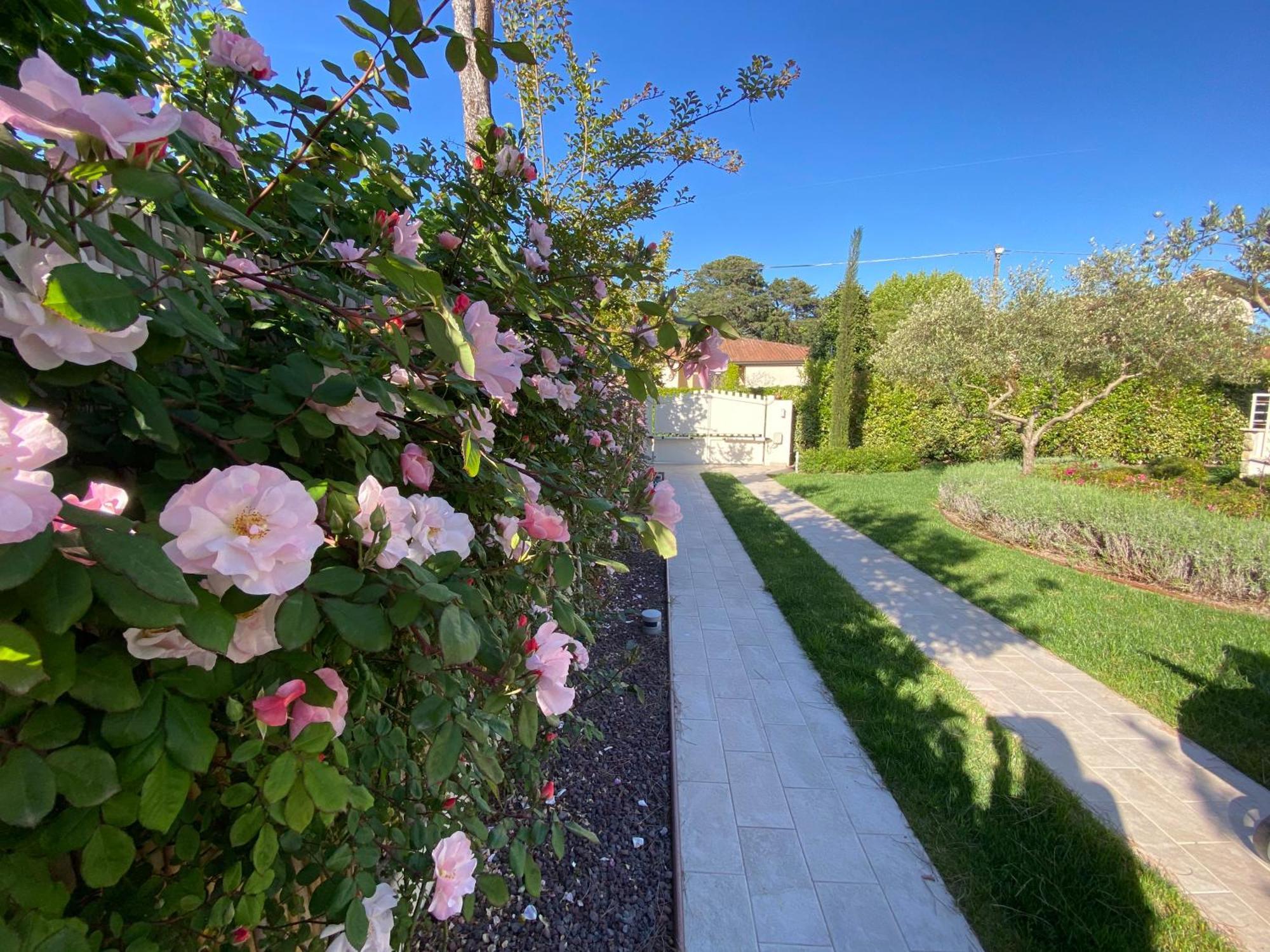 Bellaisa Bed & Breakfast Camaiore Exteriör bild